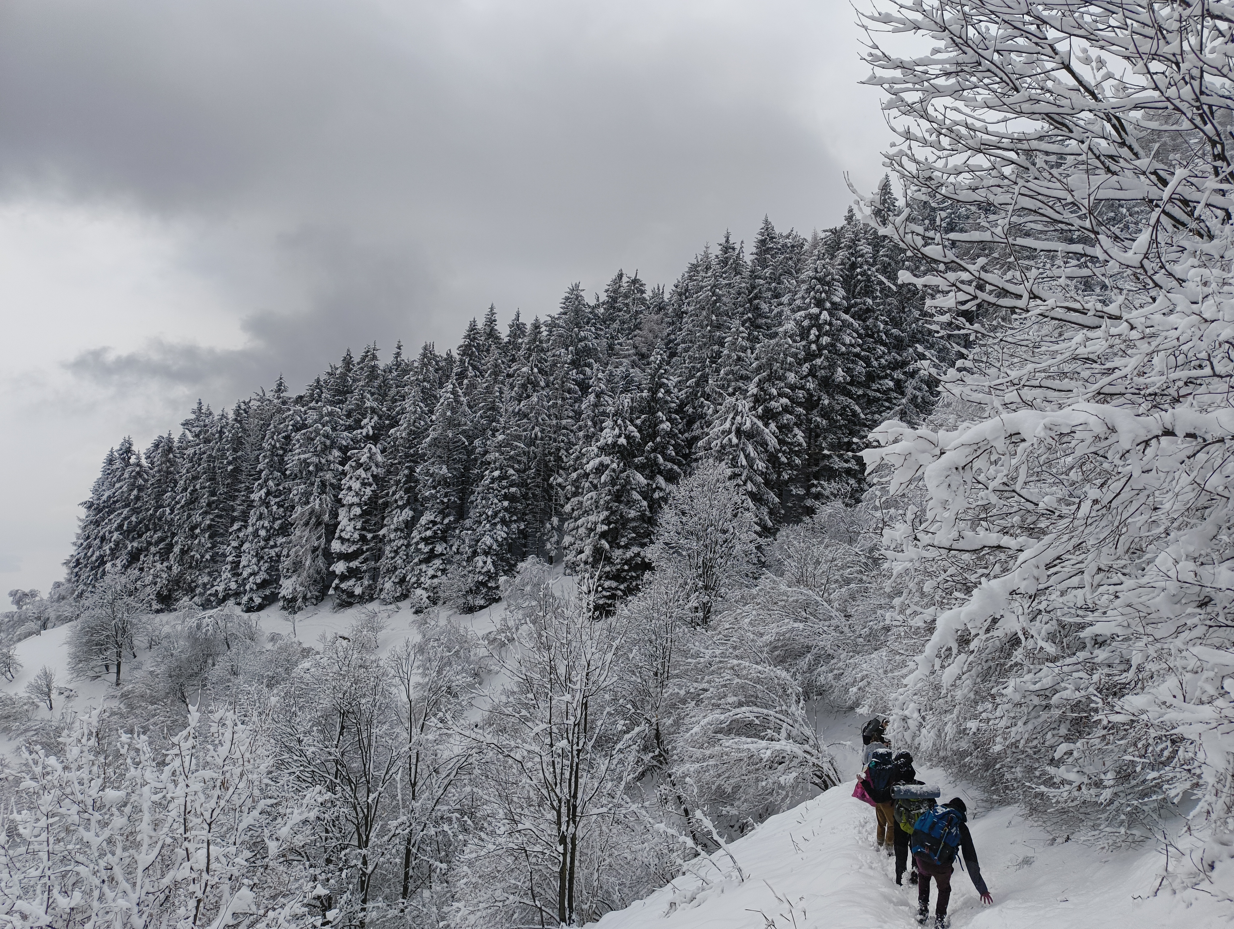 Foto n° 30 del trekking Bivacco del Gufo - Pizzo Pernice │ Alpe Curgei